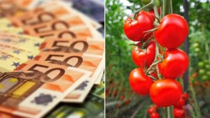 Guvernul blochează peste 200 de milioane de euro din Fondul de Risc pentru agricultură, de 4 ani