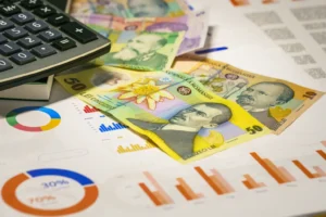 Sute de oi, aduse la primărie din cauza datoriilor