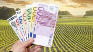 Parchetul European investighează o nouă fraudă cu proiecte AFIR de 3,5 milioane de euro!
