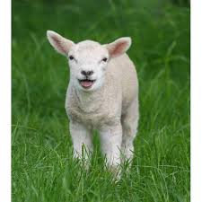 Mieii de Paște vor putea fi comercializaţi și în târguri temporare anul acesta