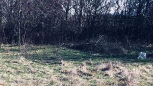 Ne-am cam ars cu pârloaga! Ce spune ministrul Tanczos Barna despre sprijinul cuplat