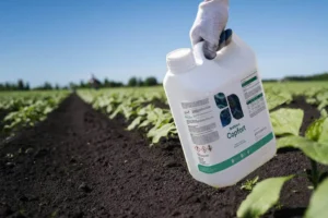 Fertilizare cu cupru. De ce este importantă pentru culturi