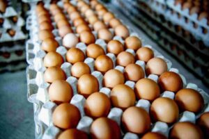 În întreaga Europă, preţurile ouălor cresc puternic, iar pe alocuri apar penurii. Se îndreaptă continentul spre o criză similară cu cea care a lovit SUA anul trecut?