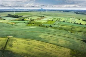Se schimbă regulile pentru terenurile agricole ale statului! Unde vor putea apărea parcuri fotovoltaice
