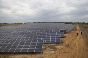Adio, porumb! Fermele dau faliment, pe câmpuri răsar panouri fotovoltaice. Ilie Bolojan a legiferat concesionarea terenurilor, pentru a fi „cultivate” cu panouri
