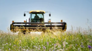 Agricultura românească are nevoie anul acesta de ajutoare de stat de cel puțin 5 miliarde de euro